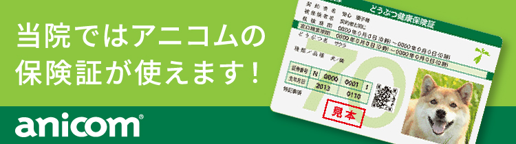 アニコムの保険証が使えます