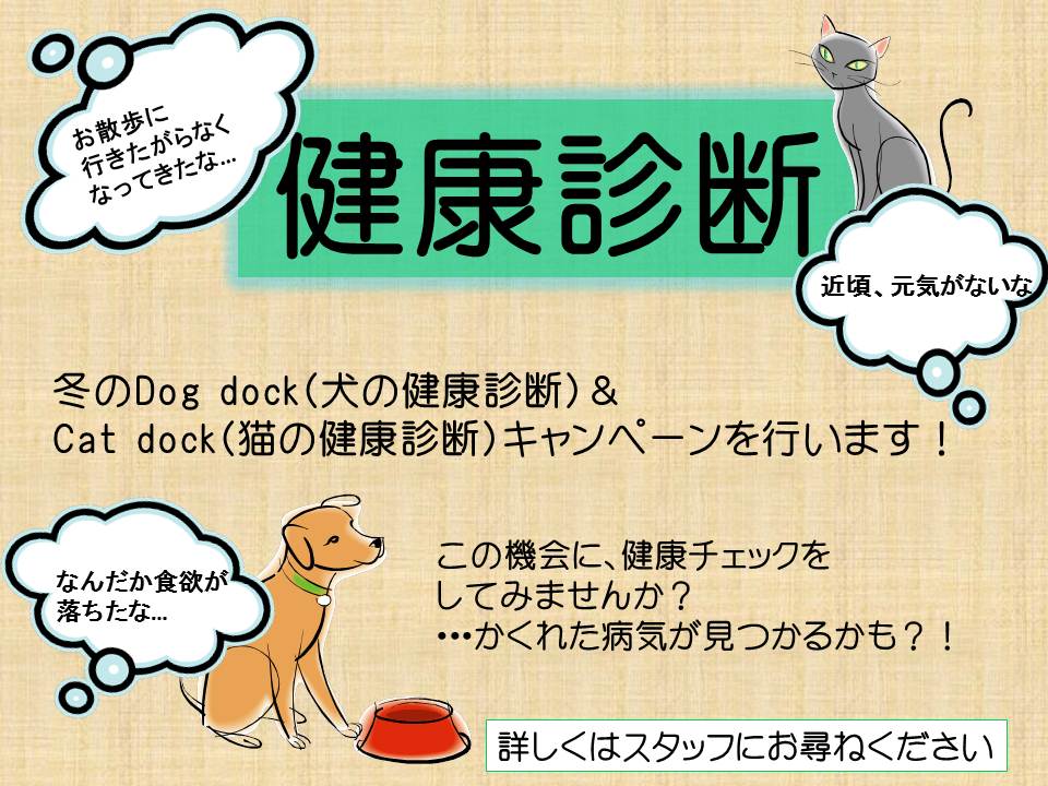 今年も冬の健康診断キャンペーン実施! 症例紹介|たかた動物病院