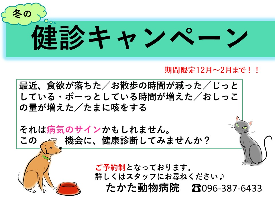 冬の健康診断キャンペーン、今年も始めます！  症例紹介｜たかた動物 