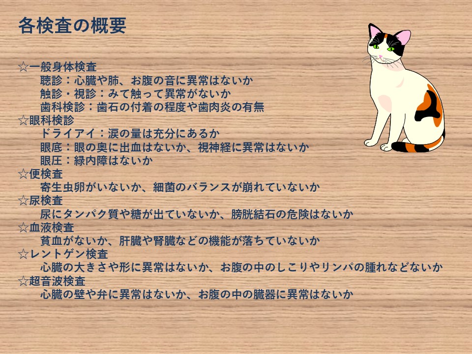 冬の健康診断キャンペーン、今年も始めます! 症例紹介|たかた動物